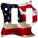 US Patriot