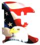 US Patriot Eagle 1 - Vintera '60s Tele