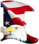 US Patriot Eagle 1 - Avril Lavigne Tele