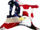 US Patriot Eagle 1 - Vintera '70s Strat