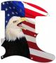 US Patriot Eagle 2 - Avril Lavigne Tele