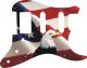 US Patriot Eagle 2