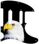 US Patriot Eagle Black