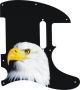 US Patriot Eagle Black - Vintera '60s Tele