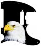 US Patriot Eagle Black - American Elite Tele