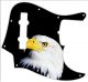 US Patriot Eagle Black