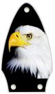 US Patriot Eagle BK
