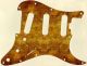Venetian Plaster - SSS Elite Strat