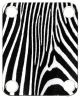 Zebra 2