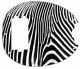 Zebra 2