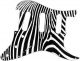 Zebra 2 - Vintera '60s Strat